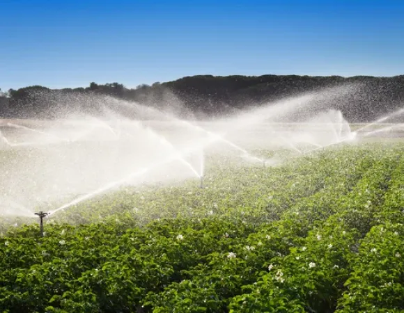Agriculture